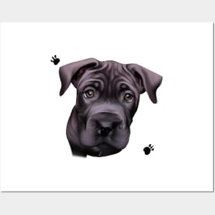 Cute Cane Corso Drawing Posters and Art